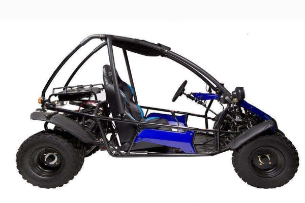 Багги YACOTA (Якота) COBRA с ПСМ | Мототека