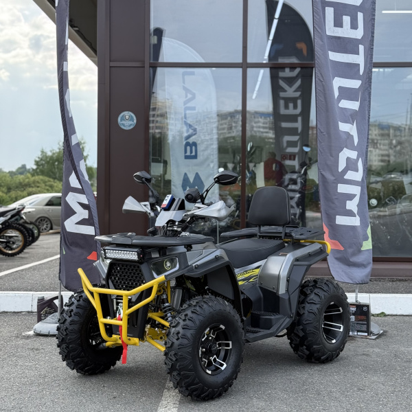 Квадроцикл FXMOTO (ФХмото) WASP 250 серый (машинокомплект) | Мототека